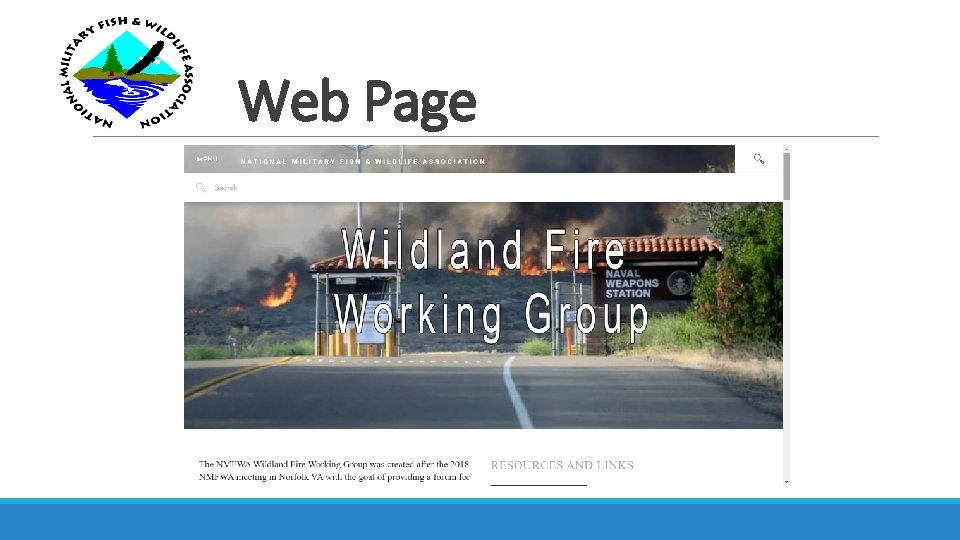 Web Page 