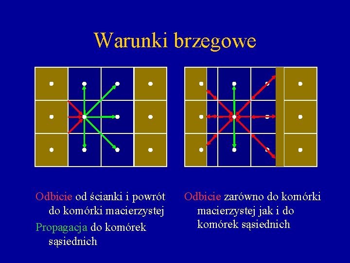 Warunki brzegowe Odbicie od ścianki i powrót do komórki macierzystej Propagacja do komórek sąsiednich