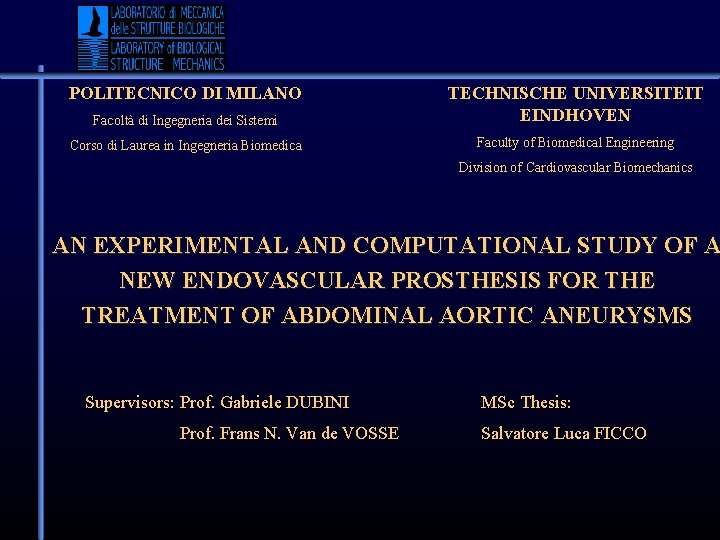 POLITECNICO DI MILANO Facoltà di Ingegneria dei Sistemi TECHNISCHE UNIVERSITEIT EINDHOVEN Corso di Laurea