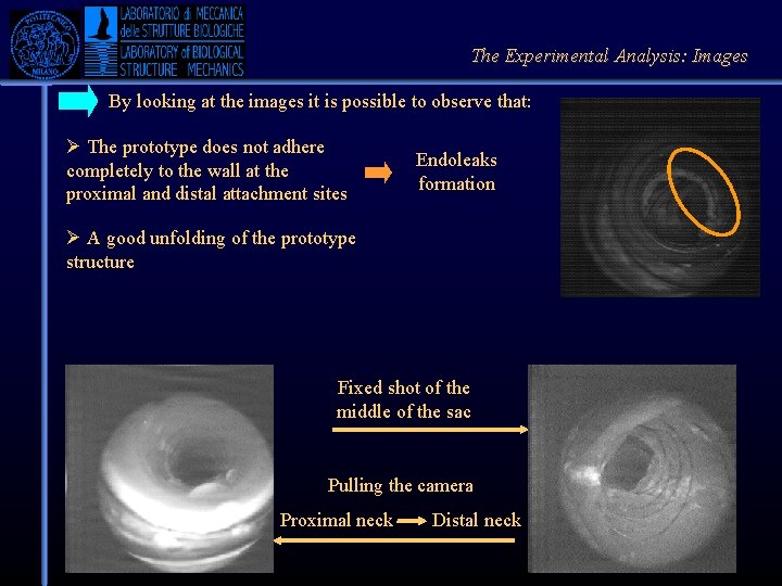 The Experimental Analysis: Images By to looking at the it isofpossible to observe that: