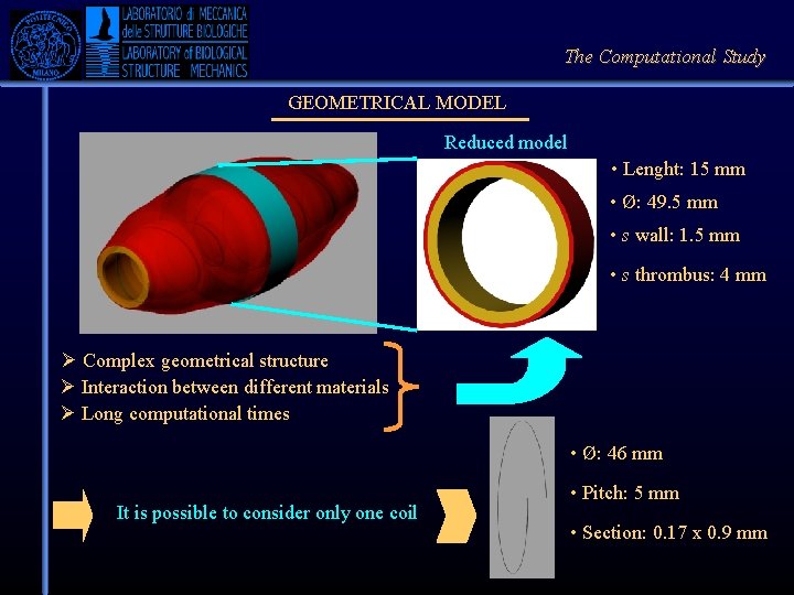 The Computational Study GEOMETRICAL MODEL Reduced model • Lenght: 15 mm • Ø: 49.