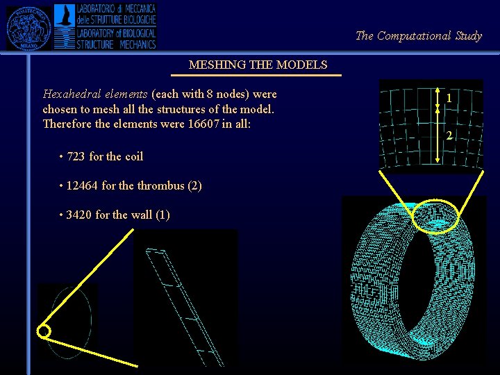The Computational Study MESHING THE MODELS Hexahedral elements (each with 8 nodes) were chosen