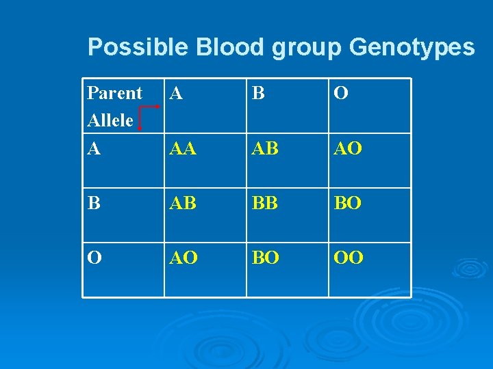 Possible Blood group Genotypes Parent Allele A A B O AA AB AO B