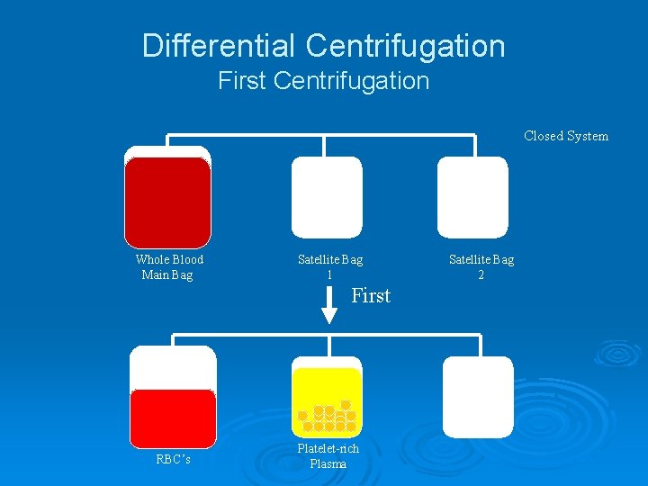 Differential Centrifugation First Centrifugation Closed System Whole Blood Main Bag Satellite Bag 1 First