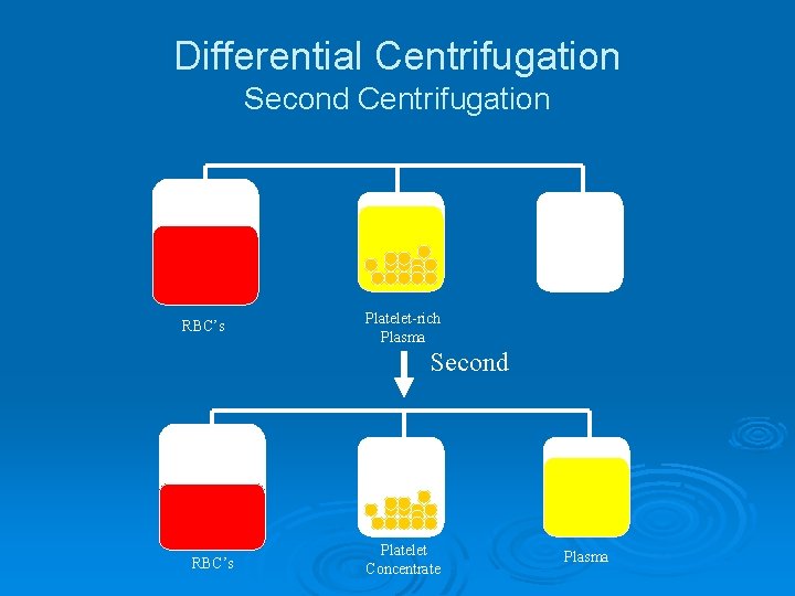 Differential Centrifugation Second Centrifugation RBC’s Platelet-rich Plasma Second RBC’s Platelet Concentrate Plasma 