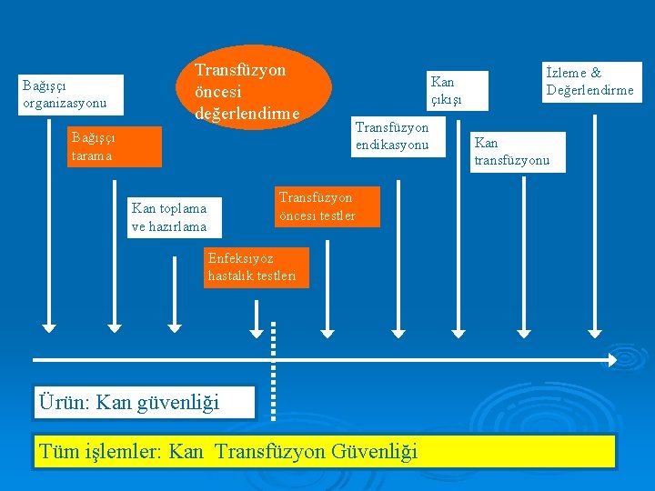 Bağışçı organizasyonu Transfüzyon öncesi değerlendirme Bağışçı tarama Kan çıkışı Transfüzyon endikasyonu Transfüzyon öncesi testler