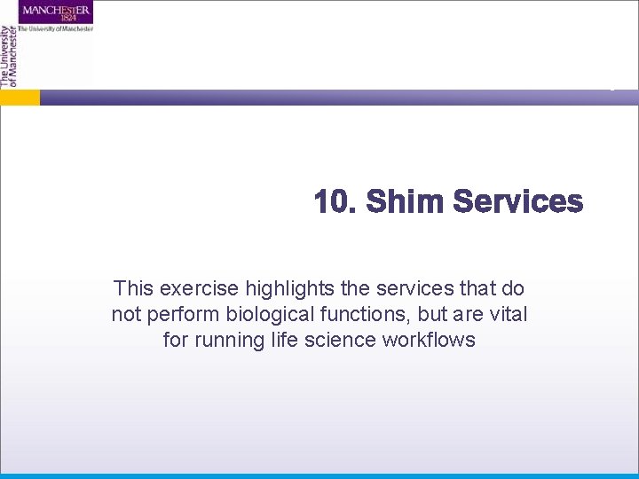 10. Shim Services This exercise highlights the services that do not perform biological functions,