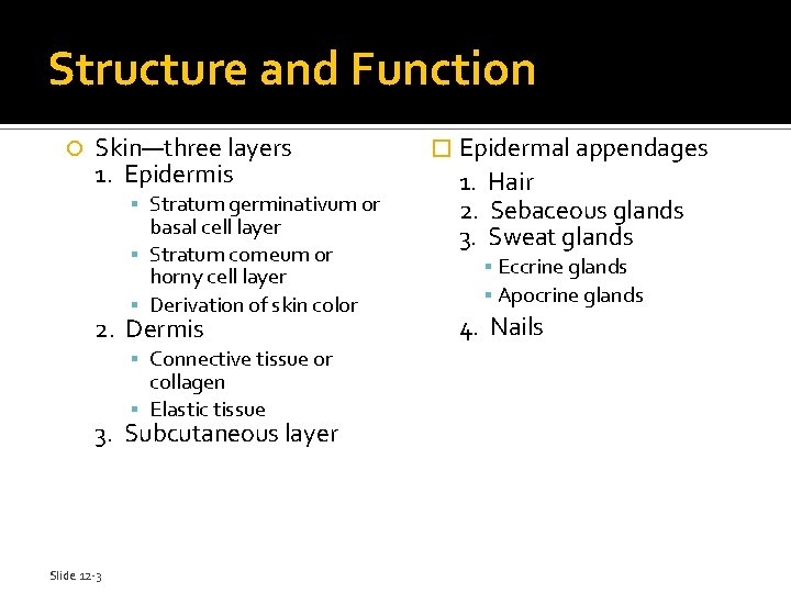 Structure and Function Skin—three layers 1. Epidermis Stratum germinativum or basal cell layer Stratum