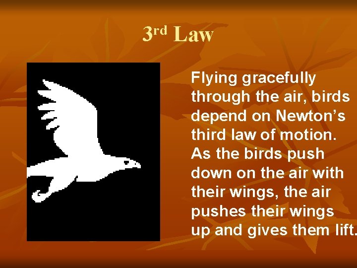 3 rd Law Flying gracefully through the air, birds depend on Newton’s third law