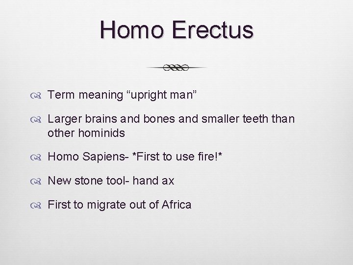 Homo Erectus Term meaning “upright man” Larger brains and bones and smaller teeth than Homo Erectus Term meaning “upright man” Larger brains and bones and smaller teeth than