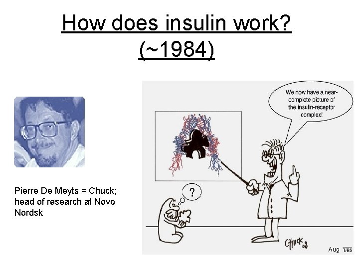 How does insulin work? (~1984) Pierre De Meyts = Chuck; head of research at How does insulin work? (~1984) Pierre De Meyts = Chuck; head of research at