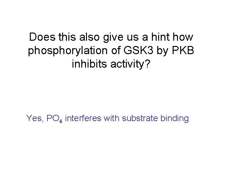 Does this also give us a hint how phosphorylation of GSK 3 by PKB Does this also give us a hint how phosphorylation of GSK 3 by PKB