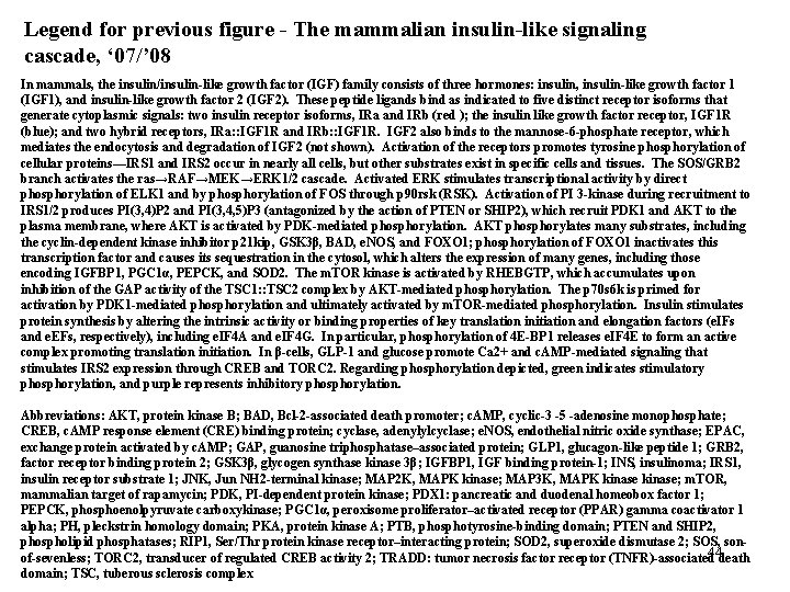 Legend for previous figure - The mammalian insulin-like signaling cascade, ‘ 07/’ 08 In Legend for previous figure - The mammalian insulin-like signaling cascade, ‘ 07/’ 08 In