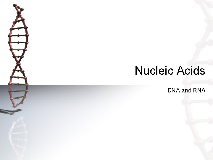 Nucleic Acids DNA and RNA 