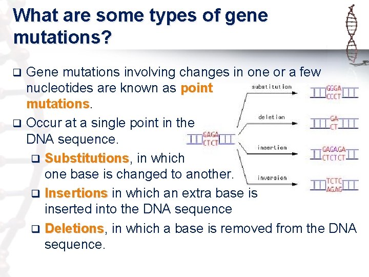 What are some types of gene mutations? Gene mutations involving changes in one or