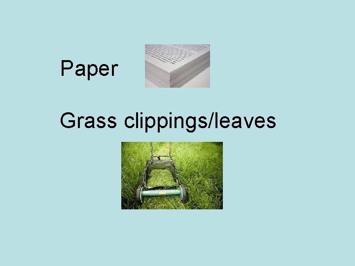 Paper Grass clippings/leaves 