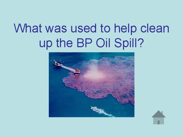 What was used to help clean up the BP Oil Spill? 