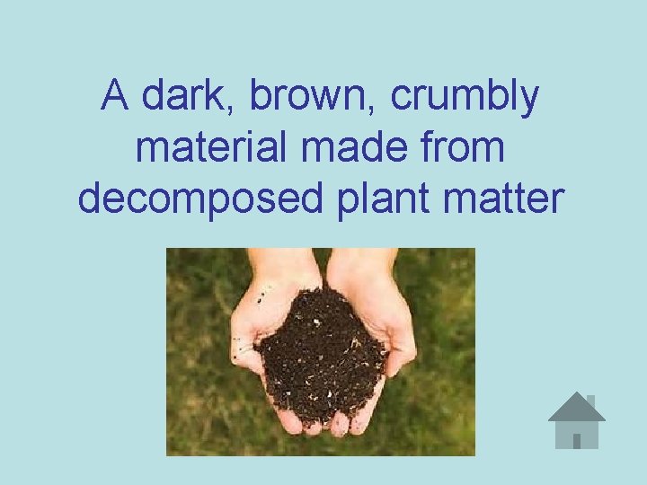 A dark, brown, crumbly material made from decomposed plant matter 