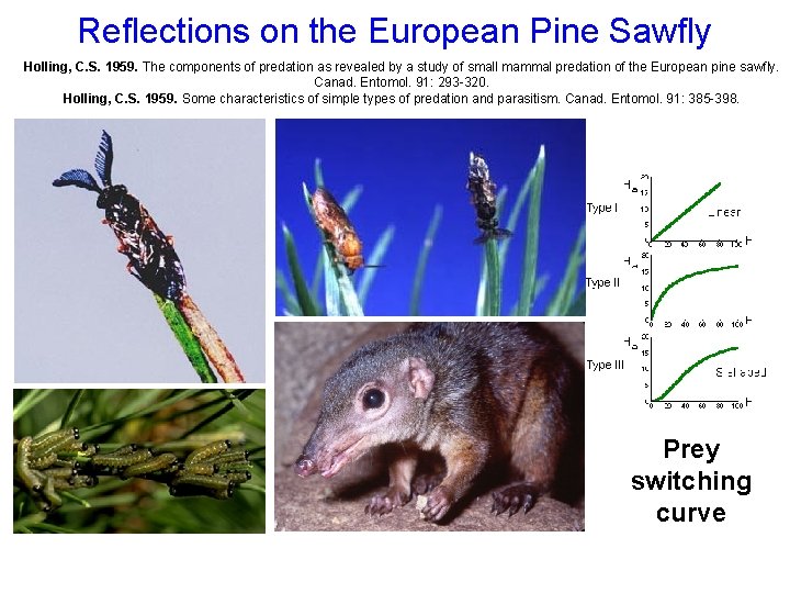 Reflections on the European Pine Sawfly Holling, C. S. 1959. The components of predation