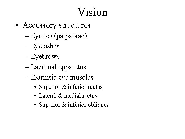 Vision • Accessory structures – Eyelids (palpabrae) – Eyelashes – Eyebrows – Lacrimal apparatus