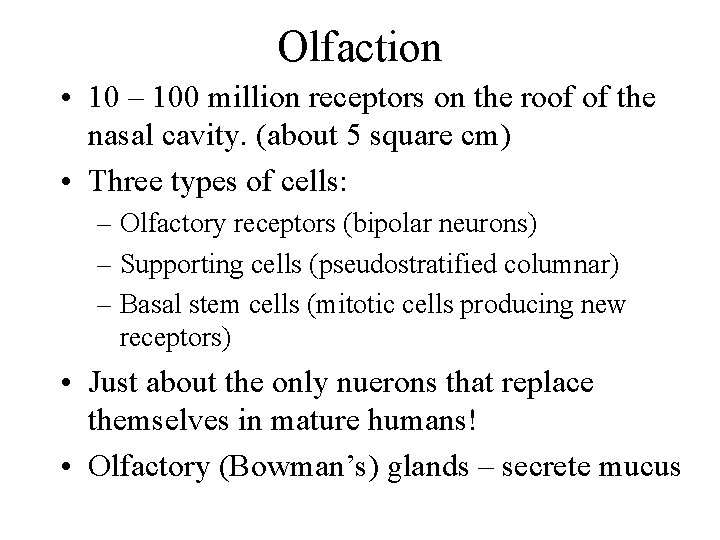 Olfaction • 10 – 100 million receptors on the roof of the nasal cavity.