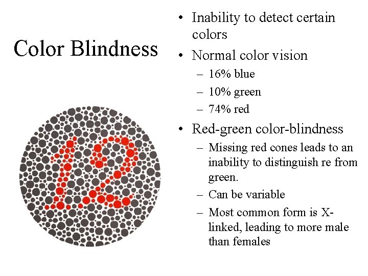 Color Blindness • Inability to detect certain colors • Normal color vision – 16%