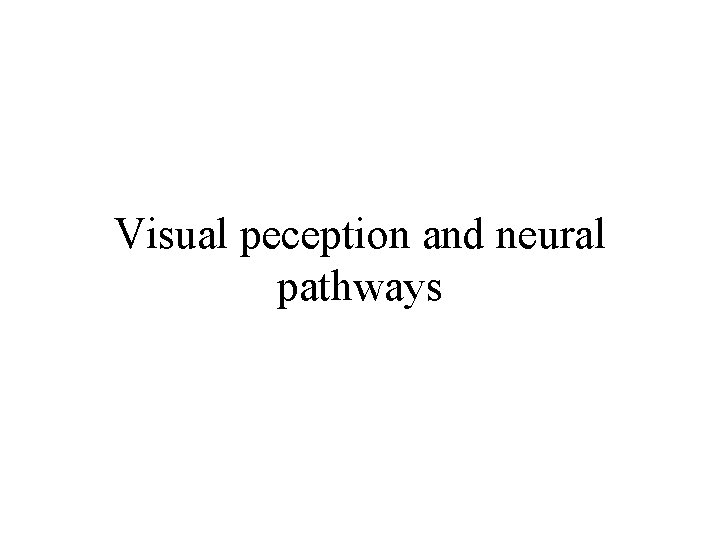 Visual peception and neural pathways 