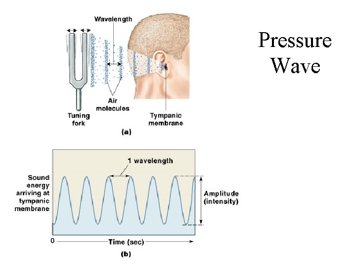 Pressure Wave Figure 17– 28 