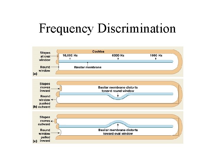 Frequency Discrimination Figure 17– 30 