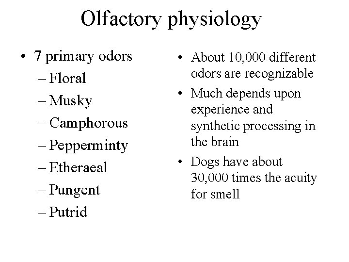 Olfactory physiology • 7 primary odors – Floral – Musky – Camphorous – Pepperminty