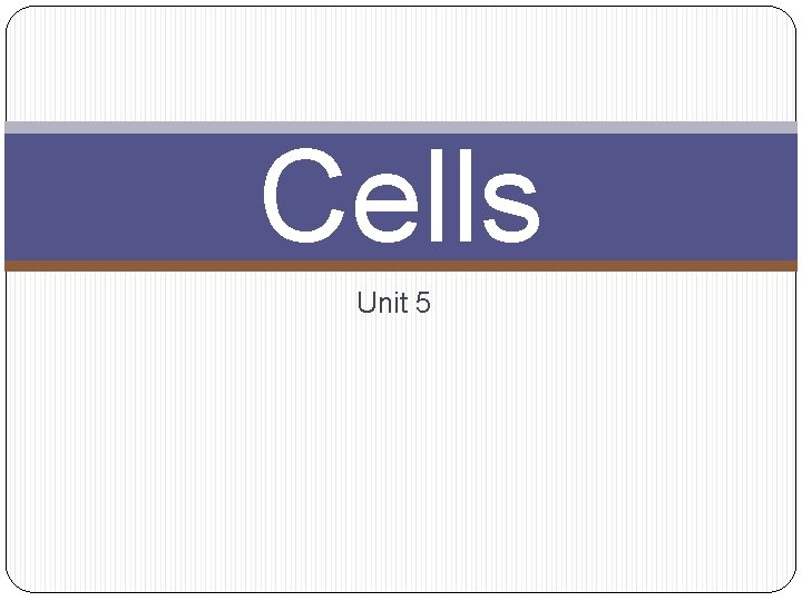 Cells Unit 5 