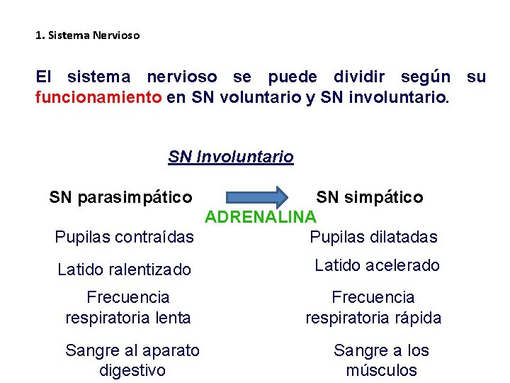 1. Sistema Nervioso El sistema nervioso se puede dividir según su funcionamiento en SN