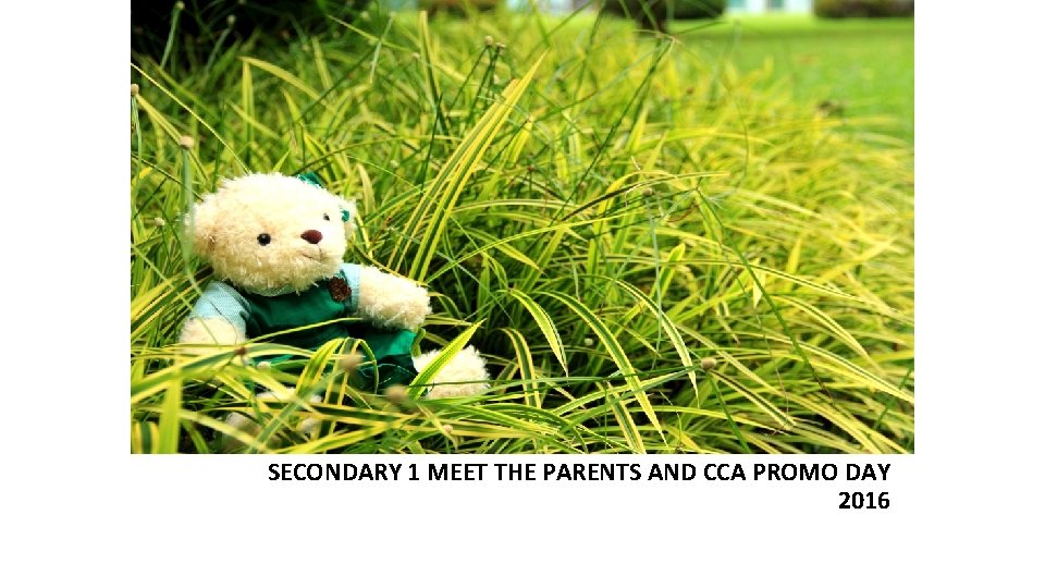 SECONDARY 1 MEET THE PARENTS AND CCA PROMO DAY 2016 