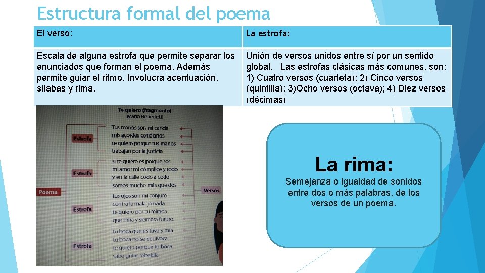 Estructura formal del poema El verso: La estrofa: Escala de alguna estrofa que permite