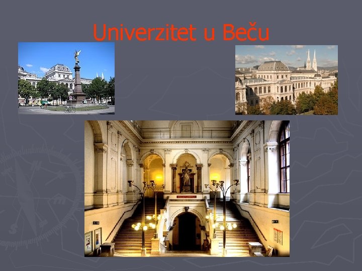 Univerzitet u Beču 