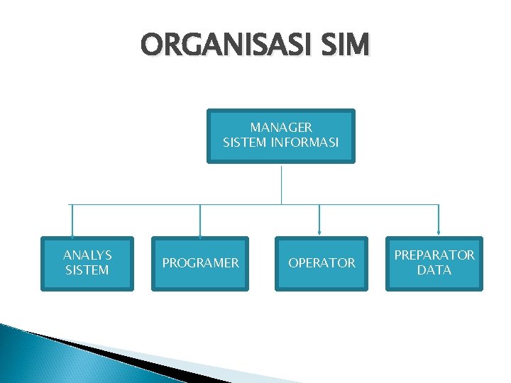 ORGANISASI SIM MANAGER SISTEM INFORMASI ANALYS SISTEM PROGRAMER OPERATOR PREPARATOR DATA 