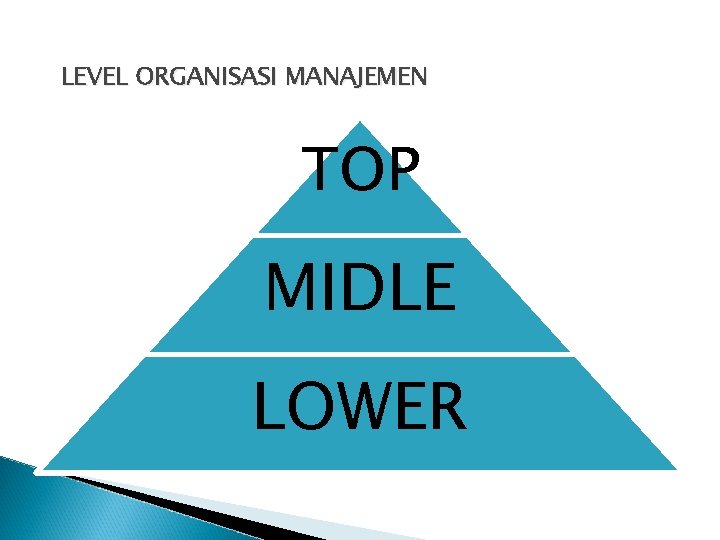 LEVEL ORGANISASI MANAJEMEN TOP MIDLE LOWER 