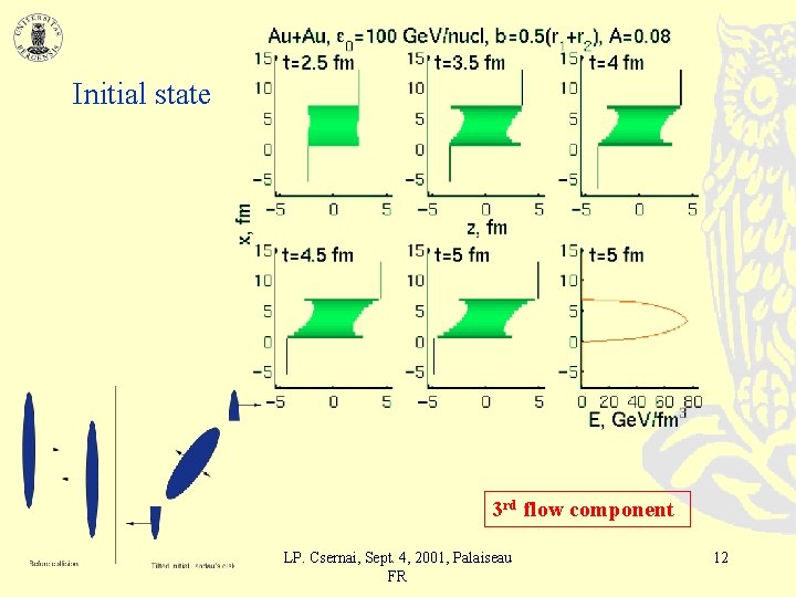 Initial state 3 rd flow component LP. Csernai, Sept. 4, 2001, Palaiseau FR 12