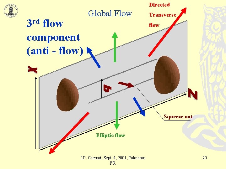 Directed 3 rd flow component (anti - flow) Global Flow Transverse flow Squeeze out