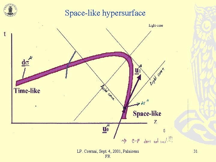Space-like hypersurface LP. Csernai, Sept. 4, 2001, Palaiseau FR 31 