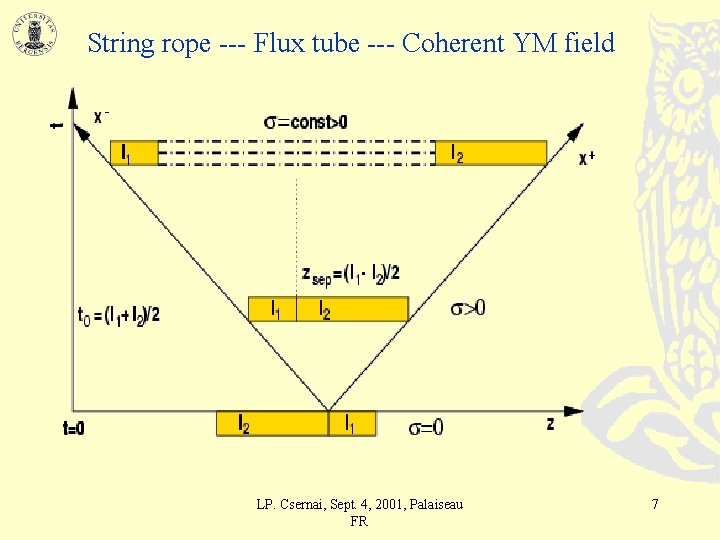 String rope --- Flux tube --- Coherent YM field LP. Csernai, Sept. 4, 2001,