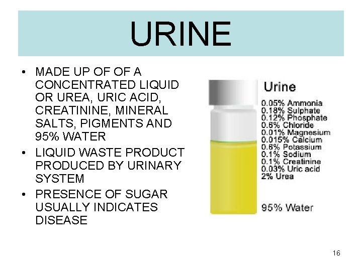 URINE • MADE UP OF OF A CONCENTRATED LIQUID OR UREA, URIC ACID, CREATININE,