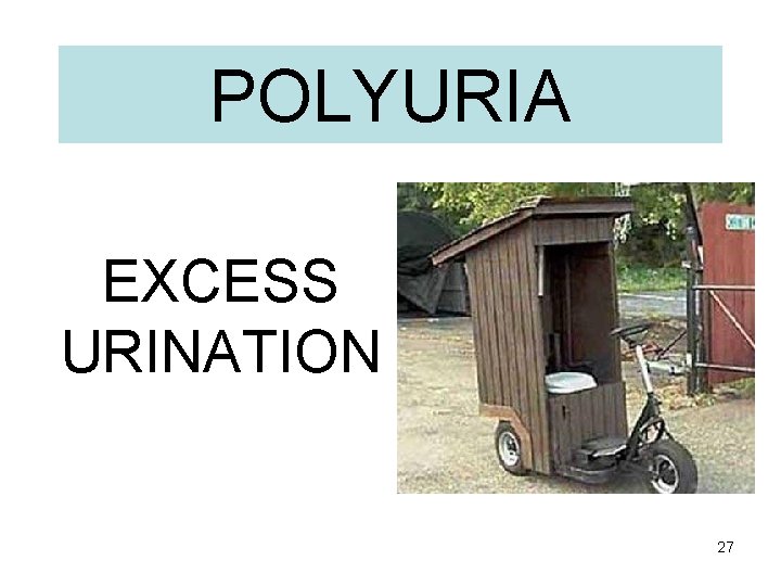 POLYURIA EXCESS URINATION 27 