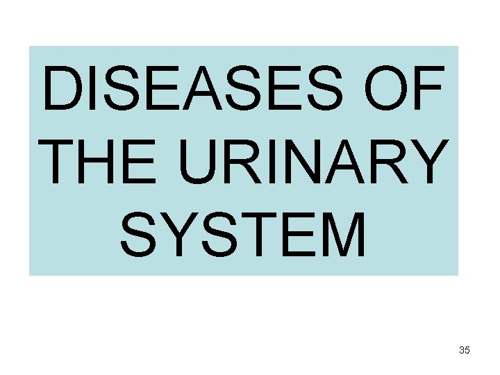 DISEASES OF THE URINARY SYSTEM 35 