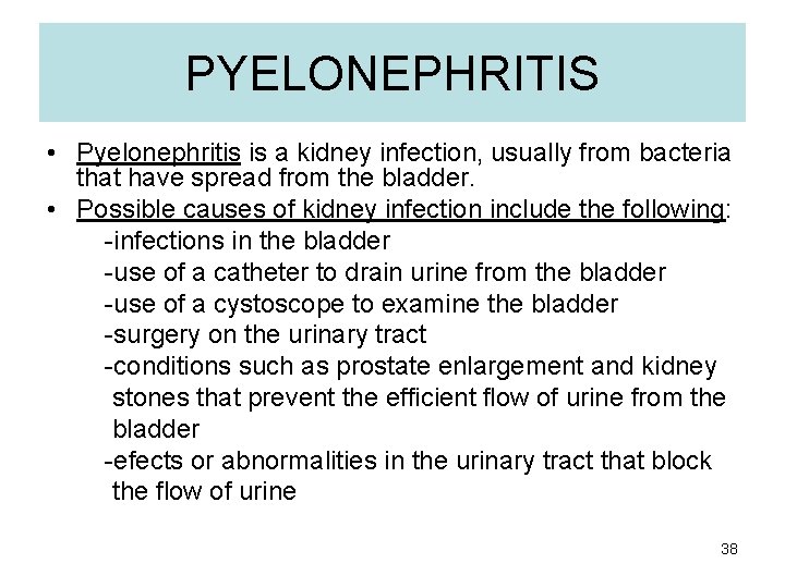 PYELONEPHRITIS • Pyelonephritis is a kidney infection, usually from bacteria that have spread from