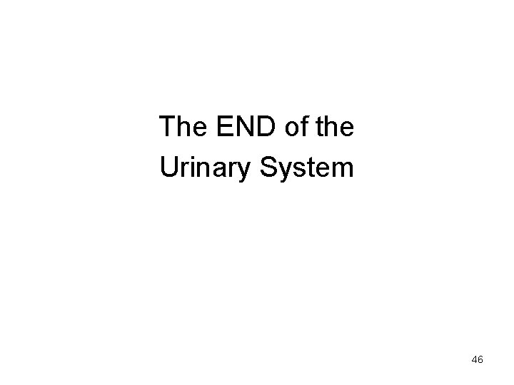 The END of the Urinary System 46 