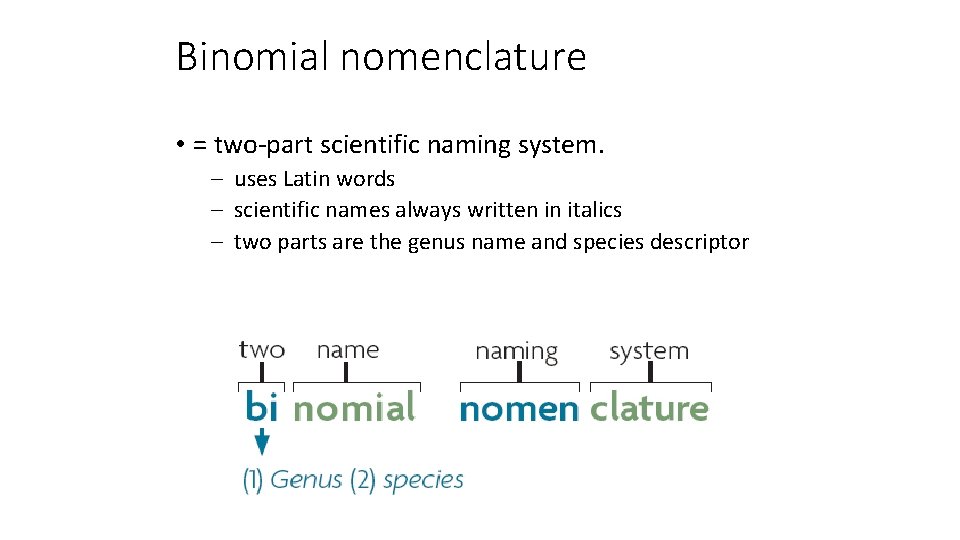 Binomial nomenclature • = two-part scientific naming system. – uses Latin words – scientific