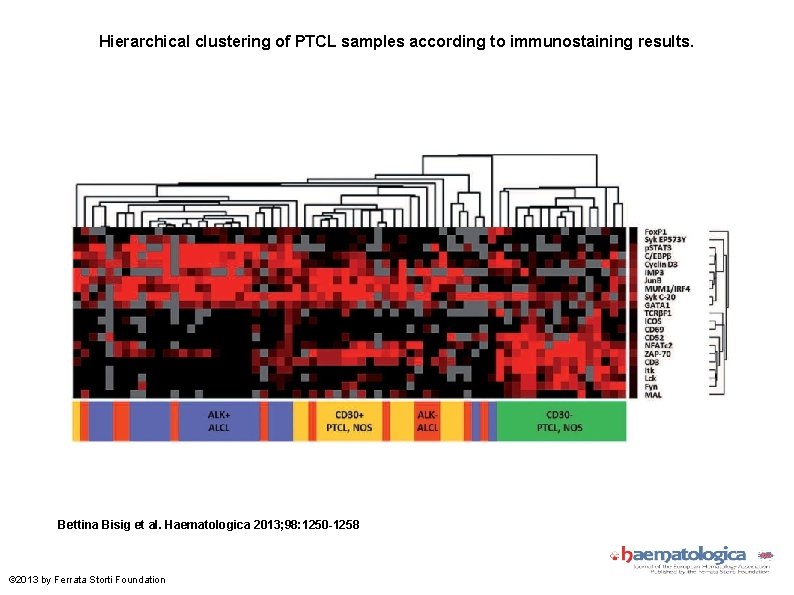 Hierarchical clustering of PTCL samples according to immunostaining results. Bettina Bisig et al. Haematologica