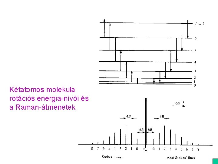 Kétatomos molekula rotációs energia-nívói és a Raman-átmenetek 