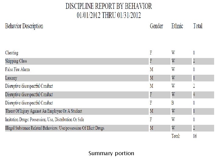 Summary portion 